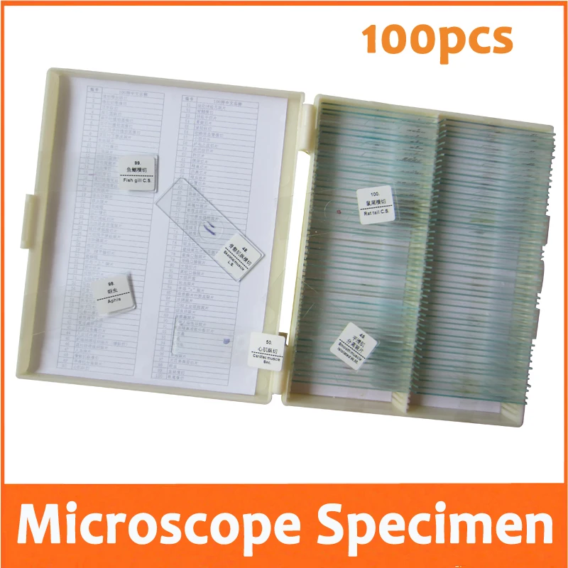 100pcs Professional Student Optical Glass Flower Insect Animal Plant Lab microscope specimen Bio-microscope Slides for School