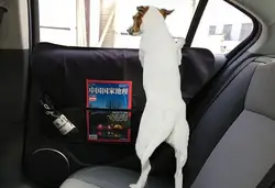 2 Pieces Car Pet Pad Side Door Anti-scratch and Anti-kick Oxford Cloth Pad Car Protective Pad for Stowing