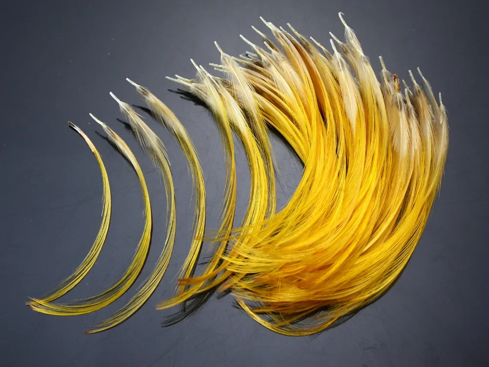 Hand Selected Golden Pheasant Crest Feathers Natural Fly tying material; Available In 4 Sizes