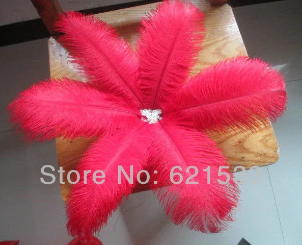 New!100Pcs/Lot 8-10inches/20-25cm natural red ostrich feather