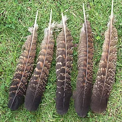 Wholesale 10 PCS precious USA wild turkey tail feathers 6-8 inches / 15-20 cm