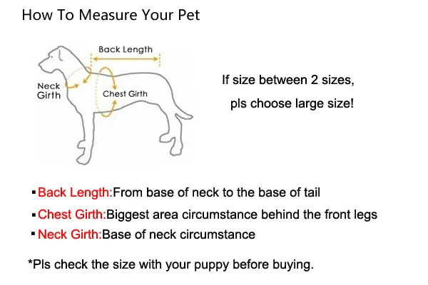 Pet Physiological Underwear Menstrual Pants Reusable Diapers for Dogs Cute Lace Floral Dog Heat Panties Female Chihuahua Shorts