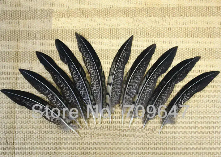 Feathers !50Pcs/Lot 4-6