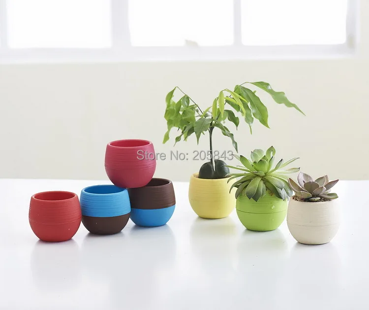 10 pcs/lot  circular fashion Korea meaty plant flower pot Mini stone flower pot Rainbow   Desktop flower pot