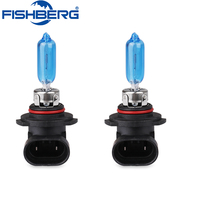 HB3 9005 12V 65W Halogen Bulb 2PCS (1 Pair) 6000K Super White Quartz Glass Xenon Dark Blue Car Headlight Lamp