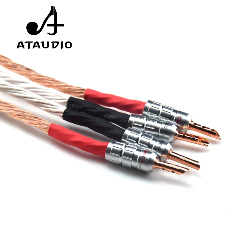 ATAUDIO 12TC Hifi Speaker Cable With 2 Banana Plug to 4 Banana Jack Hi-end OCC Speaker Wire