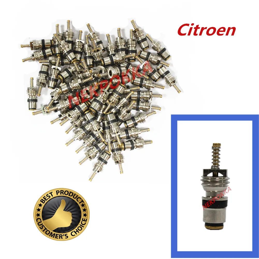 Free Shipping,(100pieces) Air conditioning Charge cold medium interface valve core for Citroen