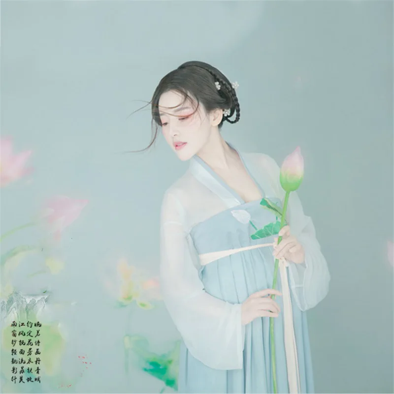 Chu He Women's Hanfu Costume Simple Elegant Lotus in Spring Photo House Thematic Photography Costume Performance Hanfu