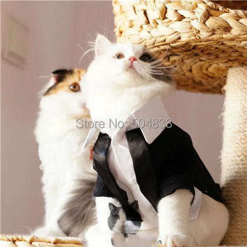 Cats Tuxedo Formal Clothes Puppy Pets Wedding Party Suit XS-XL