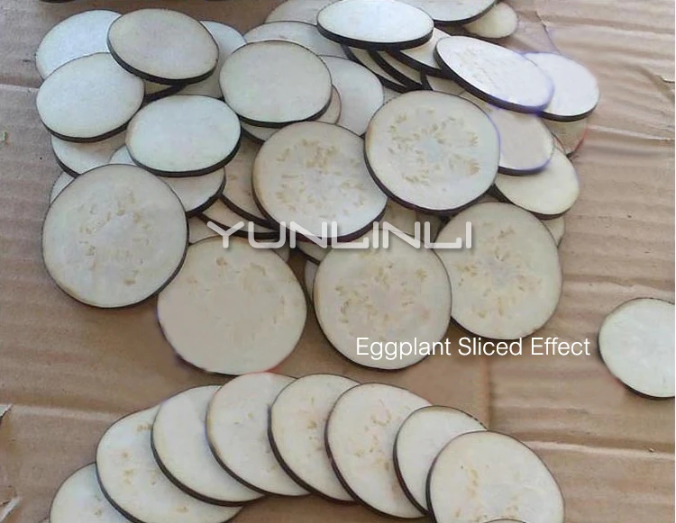 Affettatrice di verdure Multifunzionale Affettare Verdure Macchina di Piccola Dimensione di Verdure Trituratore QC-30