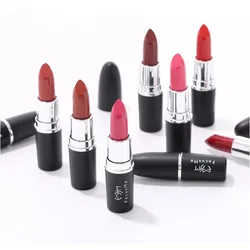 FM 9colors Nude Matte lipstick matt Velvet Lipstick Beauty Batom Cosmetic Long-lasting Makeup Maquiagem pomade maquillaje