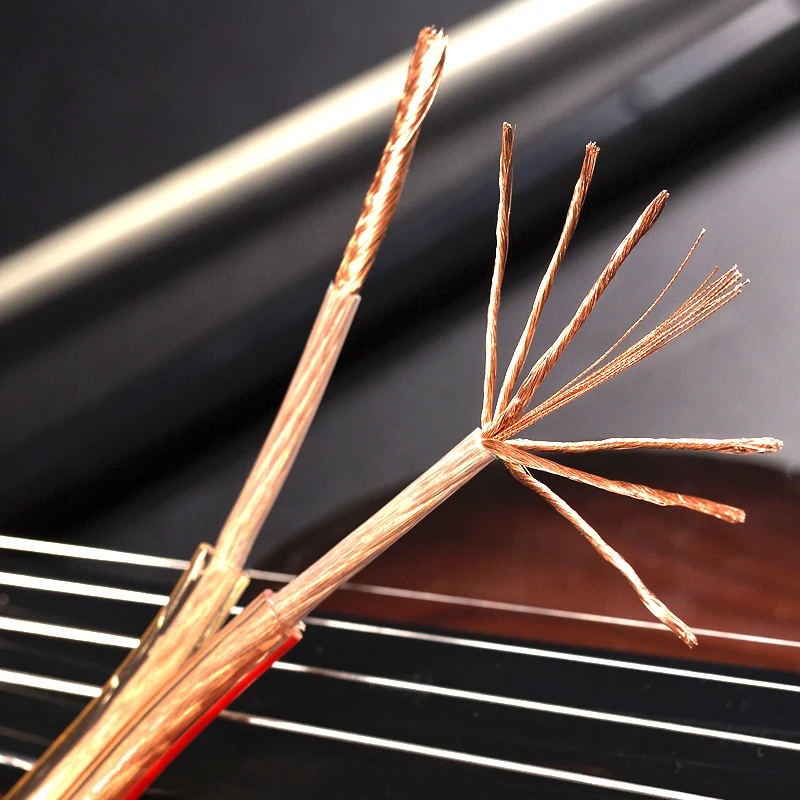 Cavo per altoparlante 18GA cavo per altoparlante HIFI fai da te linea Audio trasparente OFC per sistema Home Theater DJ Stereo per auto di fascia alta