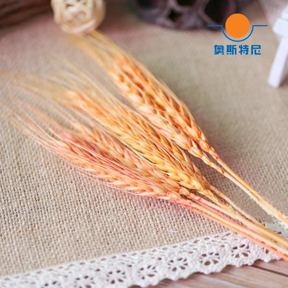 100pc natural dried flower bouquets natural purple color dried ear of wheat bouquets&wheat ear Bunches