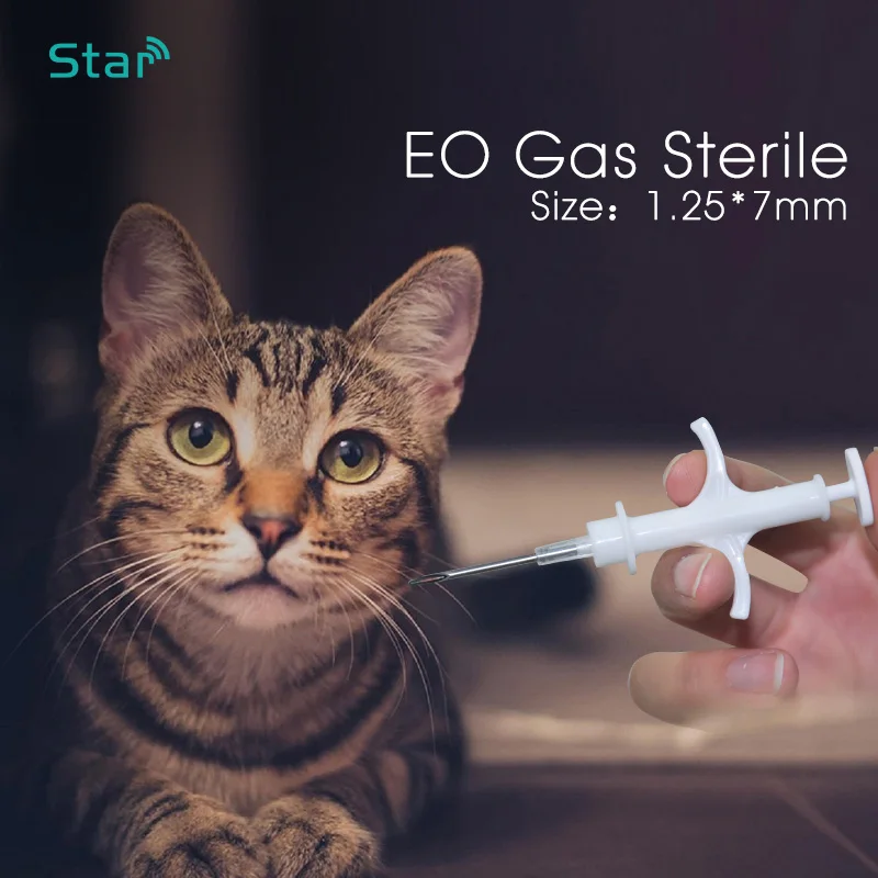 Seringue d'identification en verre pour animaux de compagnie, identification de chien, étiquette de poisson, seringue à puce de suivi, RFID, vétérinaire