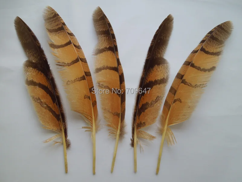 10Pcs/Lot Natural Eagle Feathers for Crafts Plume Headdress Accessories Holiday Decoration Carnival Feather DIY Handicraft Decor