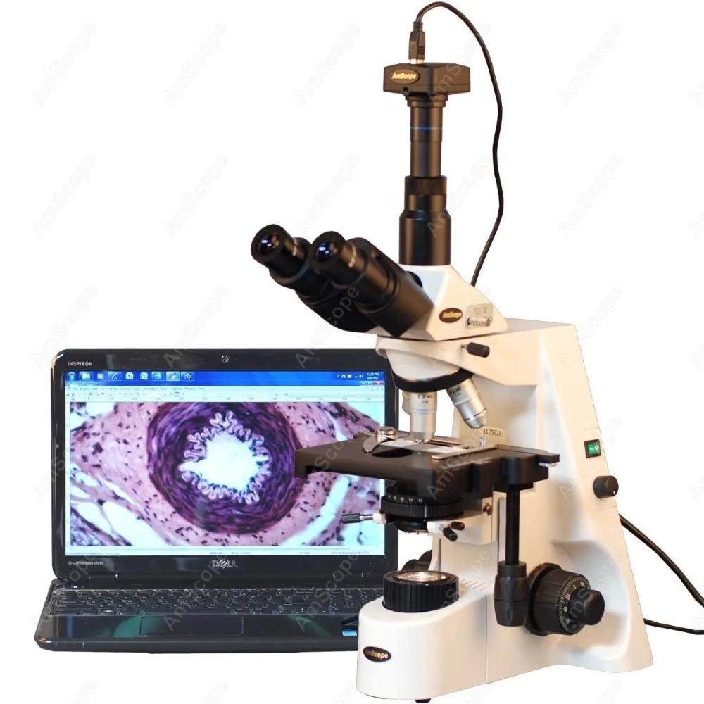 Infinity Plan Achromatic  Microscope-AmScope Supplies 40X-2500X Infinity Plan Achromatic  Microscope with 10MP Digital Camera