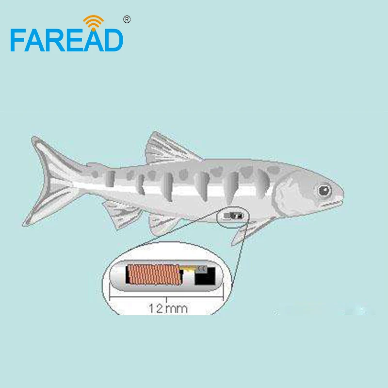 Microchip RFID ICAR de 134,2 khz, 2,12x12mm, ISO11784, ISO11785, EM4305, FDX-B, chips de etiqueta de biovrio estándar para perros y animales