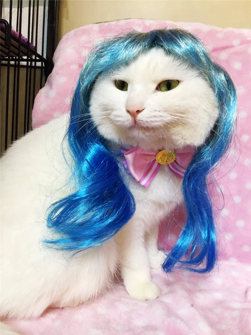 ねこウィッグオーダーページ 東澤鯨様 ウィッグオーダー 確認ページ