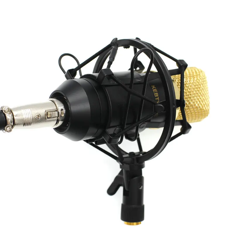 BM-700  Professional Uni-directional Condenser Studio Sound Recording Microphone with Shock Mount and Anti-wind Foam Cap