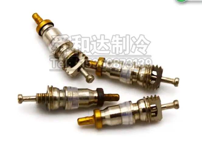 One-way needle valve core High Quality Air Leakage Prevention of Valve Needle with Fluoride Nozzle and Valve Core Thimble