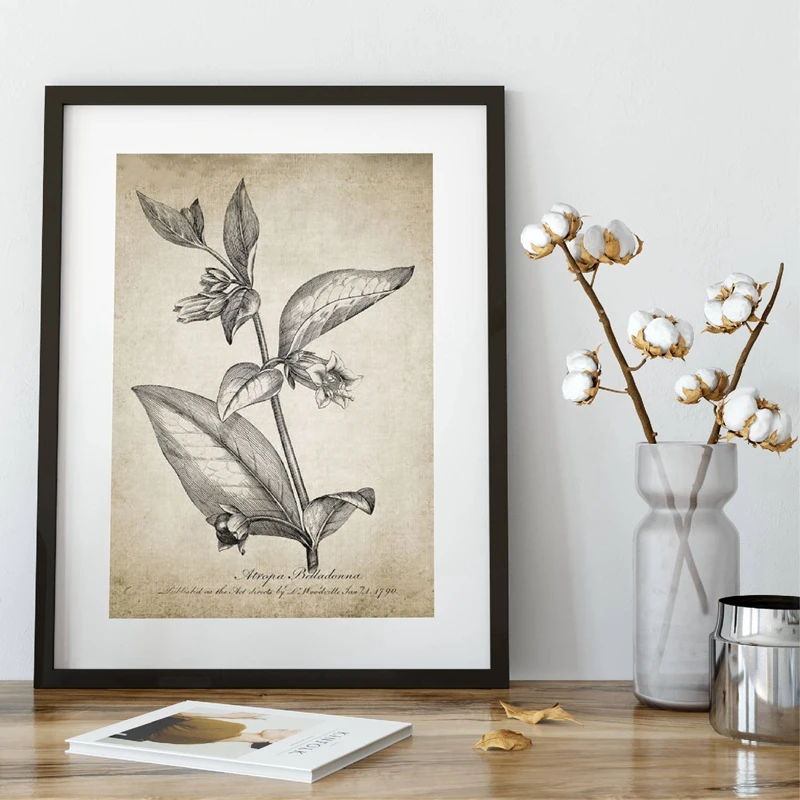 Antique Botanical Vintage Posters and Prints Wall Pictures Plants Retro Wall Art Canvas Painting Home Room Wall Decoration