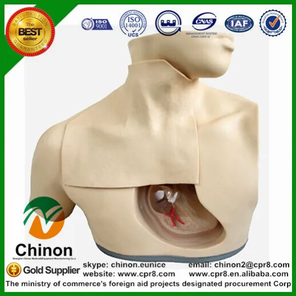 

Chinon Advanced Medical Parenteral Alimentation Nursing Model For Medical School Teaching Medical Science Education BIX-H72