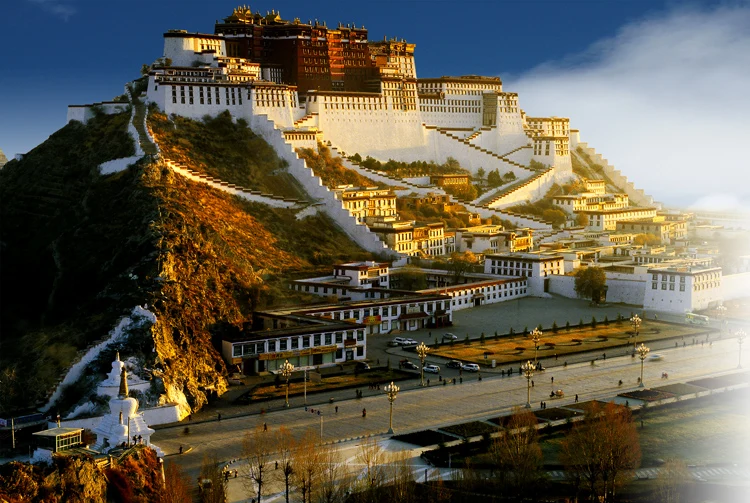 Potala Palace The wooden puzzle 1000 pieces ersion paper  jigsaw puzzle white card adult children's educational toys