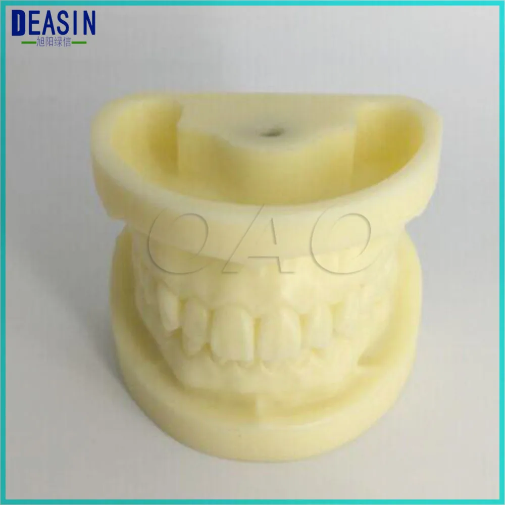 Teeth model White corundum tooth model Hole preparation Dentist Oral practice Dentist Dental Study Teach Tooth Model