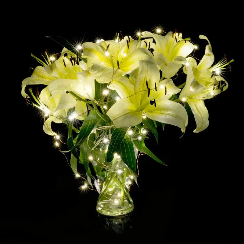 Hot Koop Kleur Optioneel Aansluitbaar String Licht Van Battery Operated Voor Decoratie