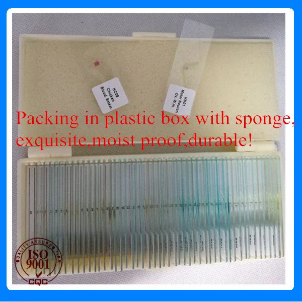 50 stks Allerlei Gemengde Voorbereid Slides Set