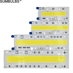 30W-150W LED Floodlight Source Super Bright COB LED Chip On Board Bulb with Smart IC AC 110V/ 220V Lamp Flood Light