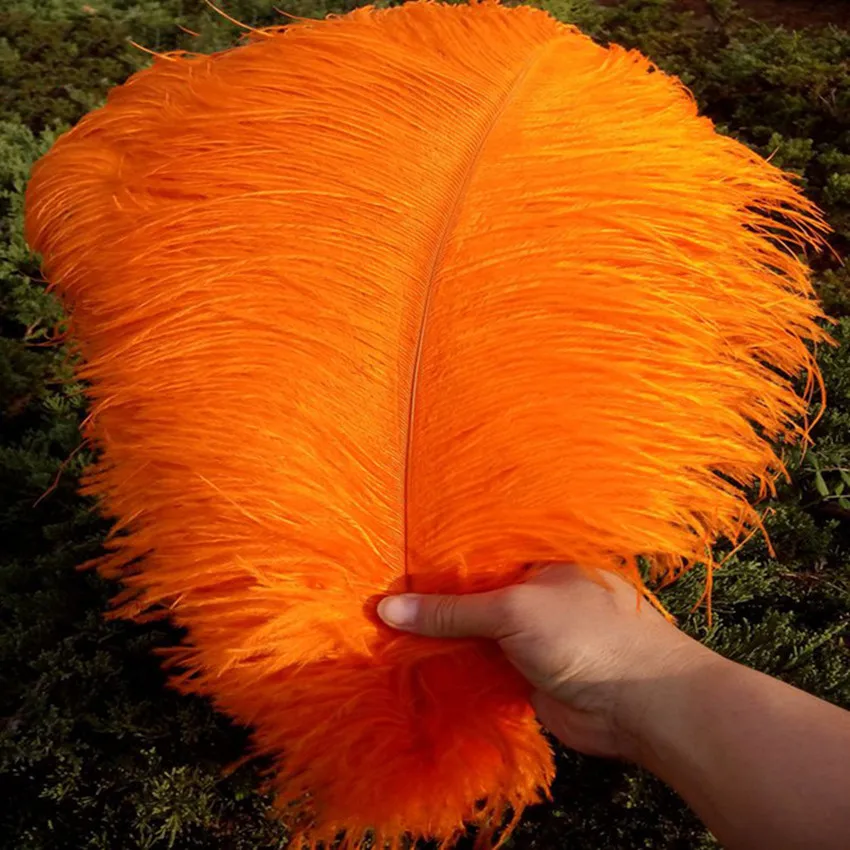 

Ostrich Feathers Wholesale! Orange 6-26 Inch 10PCS / Piece DIY Wedding Party Clothing Design