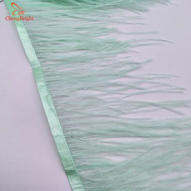 ChengBright Wholesale High Quality 10Yards Mint Green Ostrich Feather Ribbon Ostrich Feathers Trim Fringe Clothing Decoration