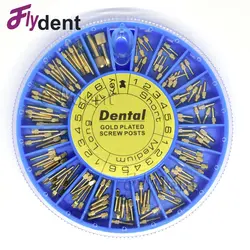 Post dental banhado a ouro do parafuso, Ferramenta Odontologia, Materiais Odontológicos, 120pcs