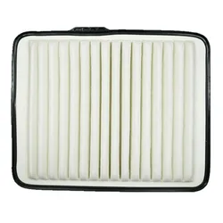 Air Filter for 2006- CADILLAC DTS V8-4.6L ,2009- BUICK Lucerne V6-3.9L ,CHEVROLET Malibu 4-2.4L,2007-SATURN Aura A1627C 22676970