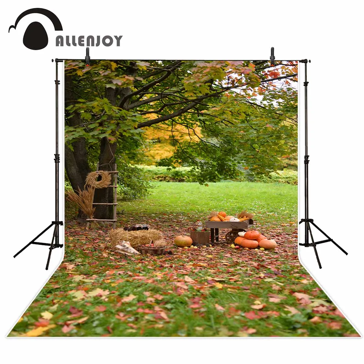 

Allenjoy photography backdrops Pumpkin countryside meadow woods ladder children background backgrounds for photo studio