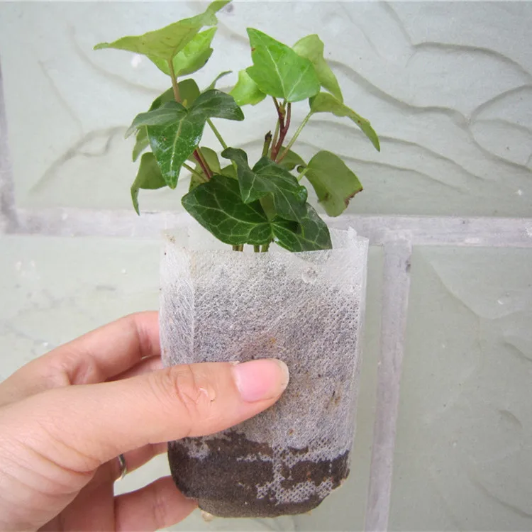 Plant-fiber Nursery Pots, Seedling-Growing Bag, Garden Supplies, Can Degrade Environmental Protection, 12x12cm, 1000 Pcs