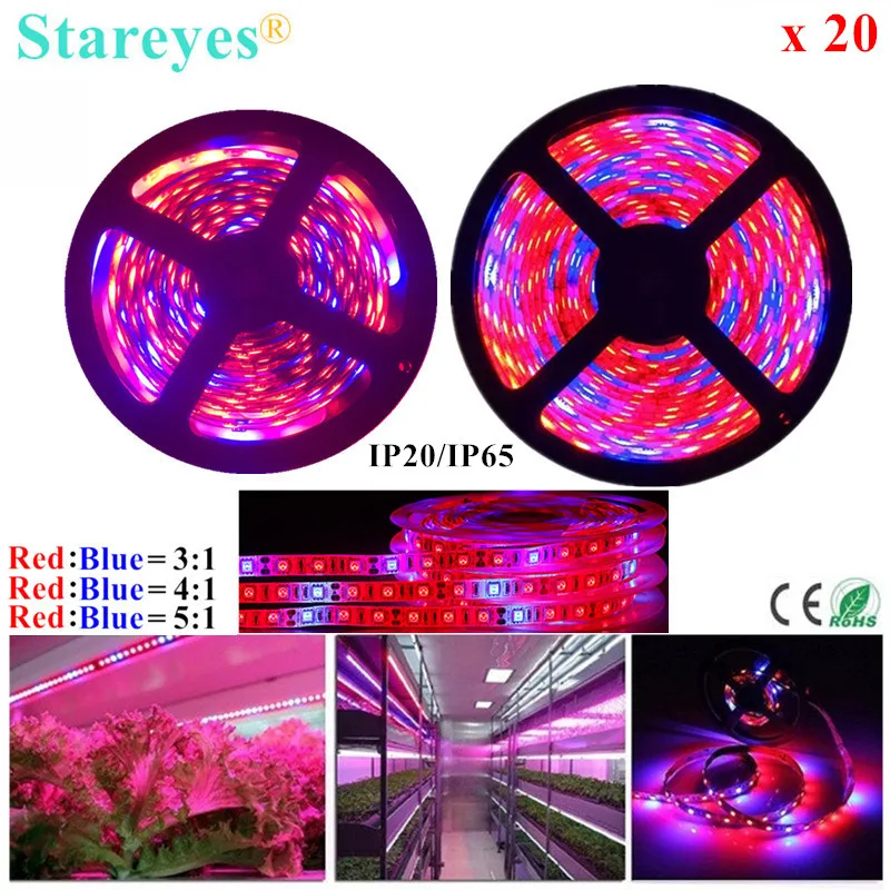 

20 Pcs SMD 5050 300 LED 5m LED Strip Growth Phyto Lamp Full Spectrum Fitolampy Grow Light For Greenhouse Hydroponic plant bulb