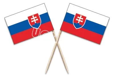 Mini Slovakia Toothpick Flag 50Pcs Paper Food Picks Dinner Cake Toothpicks Cupcake Toppers Decoration Fruit Cocktail Sticks