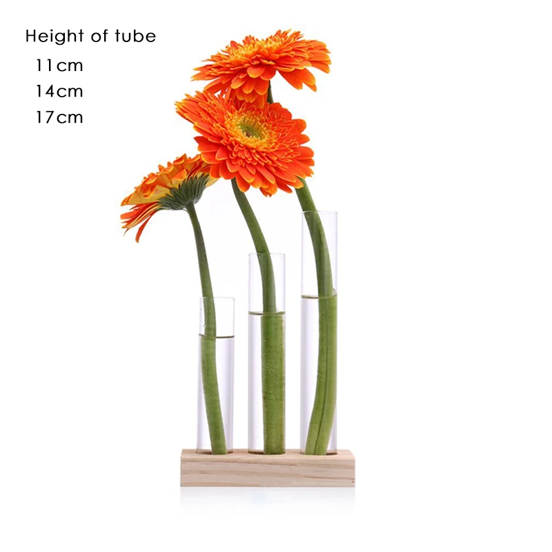 Plant Terrarium with Wooden Stand Desktop Live Plant Propagation Station Planter Glass Tubes Hydroponic Vase Air Planter Holder