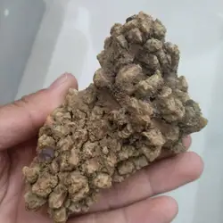 a pack 100g dinosaur poop, Dinosaur Coprolite