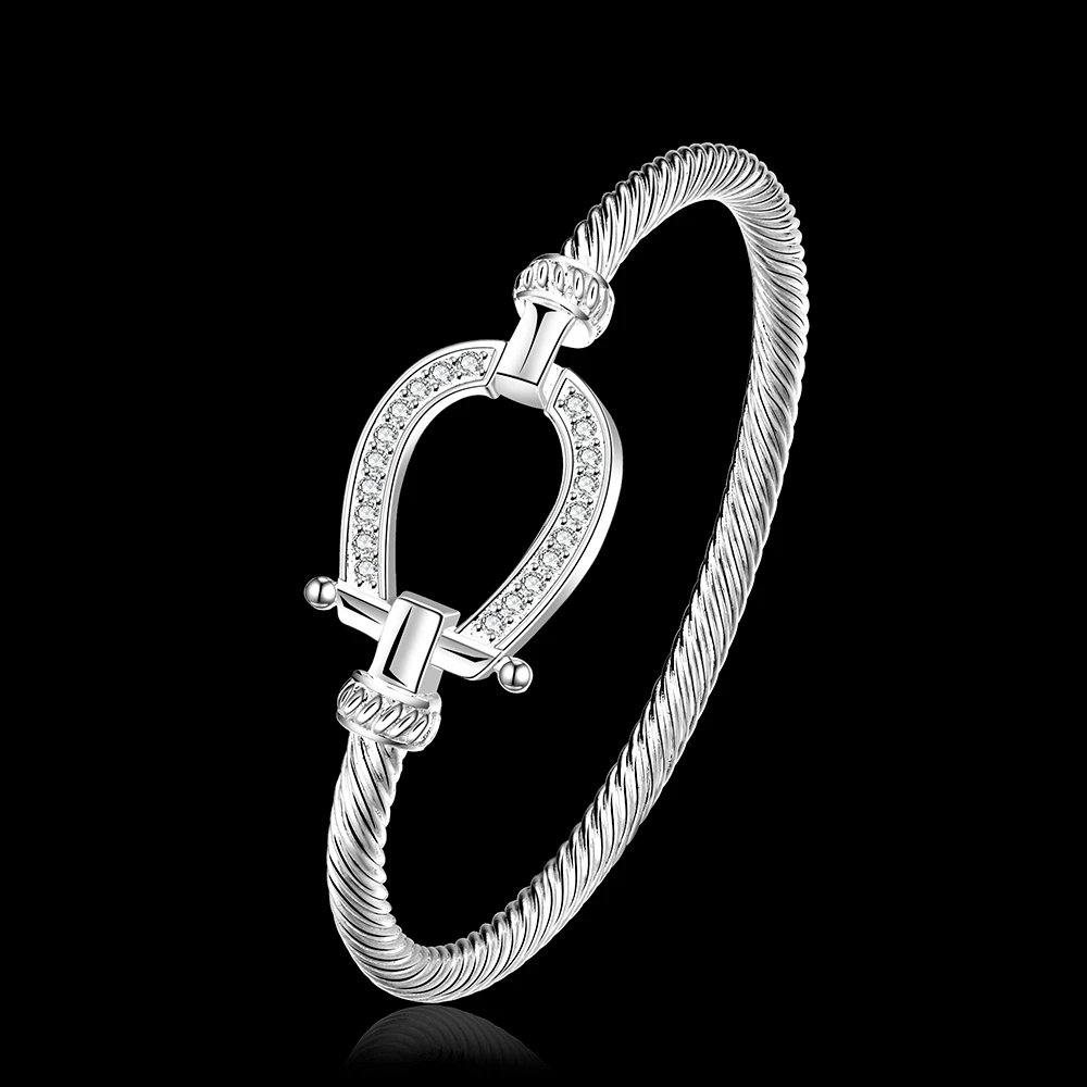 Cxwind Fashion Horse Shoe Bracelets Bangles Smooth Twisted Wire Crystal Bracelet Germanium Accessories For Women Bangle