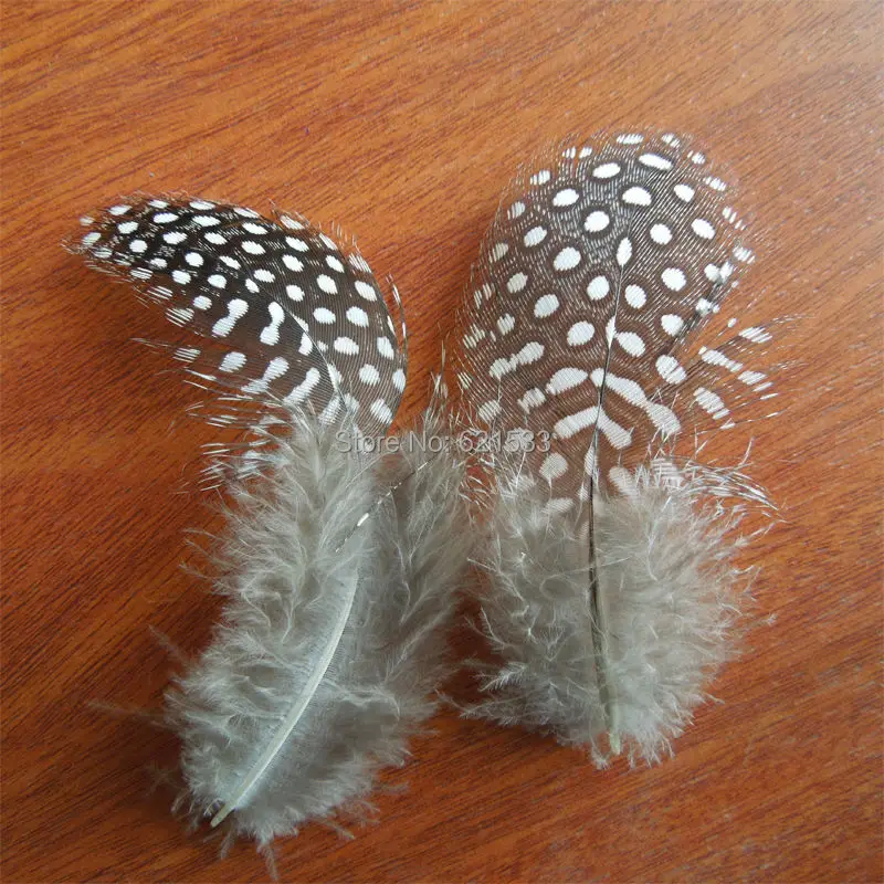 200Pcs/Lot! 8-15CM Guinea Fowl Spotted Feathers Nature Color Craft Feathers,Guinea Fowl Tail Big Feathers,high quality