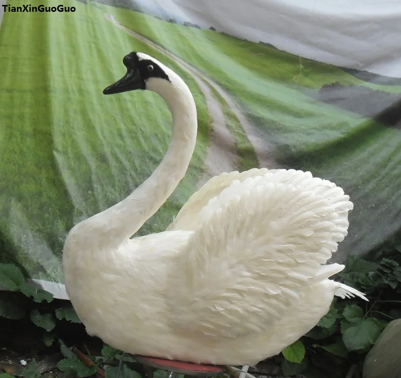 

huge 90x80cm simulation swan bird hard model polyethylene&feathers spreading wings swan handicraft garden decoration s1126