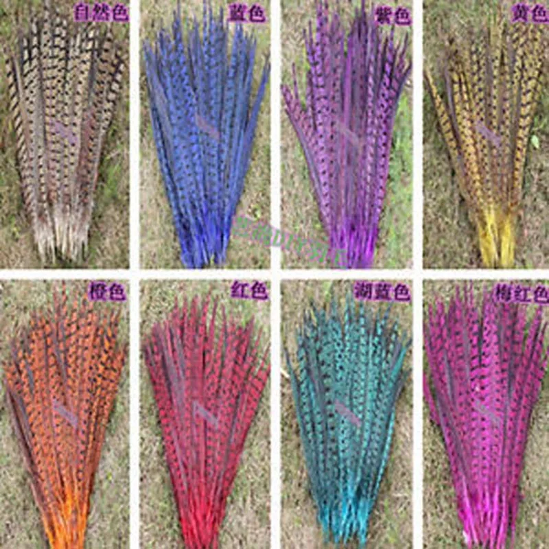 

Wholesale 100 pcs natural pheasant tail feathers 16-18 inches choice of colors