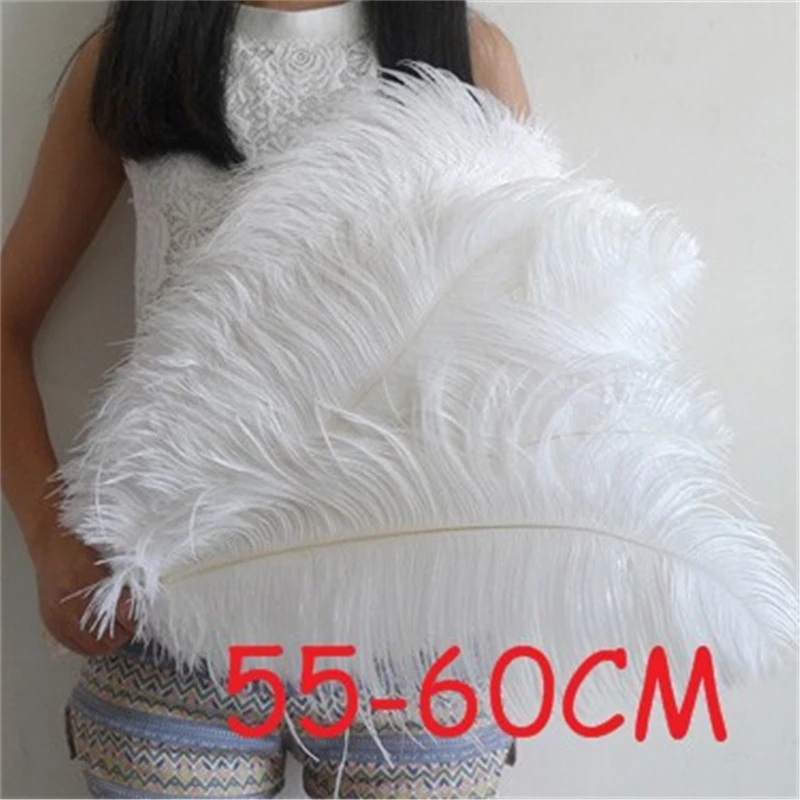 5pcs/lot 10 Kinds Color 55 - 60cm Ostrich Feathers Plumages 22- 24\'\' Feathers Wedding Party Supplies Dancer Decoration