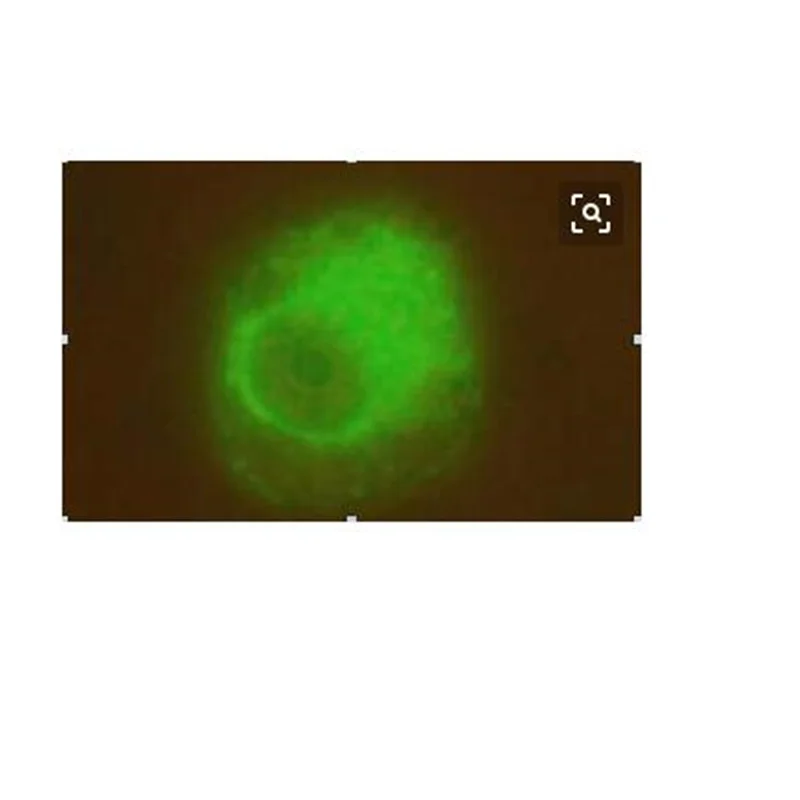 Quantum dot surface modification drug small molecule