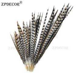 ZPDECOR 55-60CM 22-24 Inch Pheasant Feathers Natural Pluma