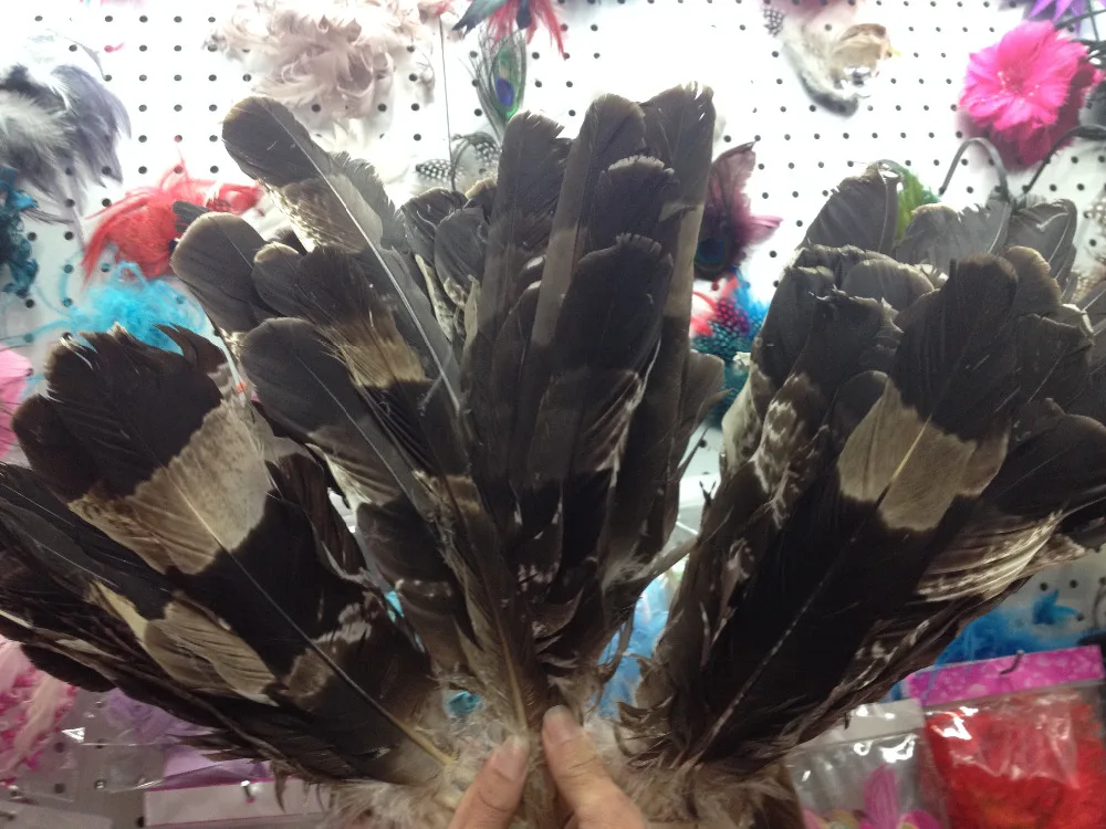 wholesale high quality 50pcs Scarce natural Crested Serpent Eagle feathers 28-40cm / 12-16inch various decorative diy collect