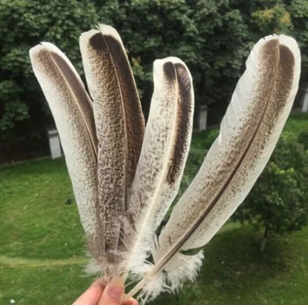 Free Shipping Wholesale high quality 10pcs Natural eagle feathers 10-12inches / 25-30cm crafts Jewelry accessories diy